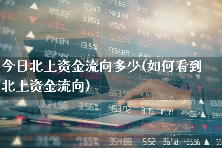 今日北上资金流向多少(如何看到北上资金流向)_https://www.fzdzcxj.com_创业板_第1张