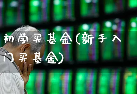 初学买基金(新手入门买基金)_https://www.fzdzcxj.com_北交所_第1张