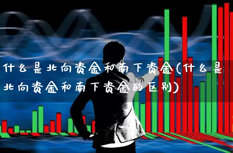 什么是北向资金和南下资金(什么是北向资金和南下资金的区别)_https://www.fzdzcxj.com_深交所_第1张