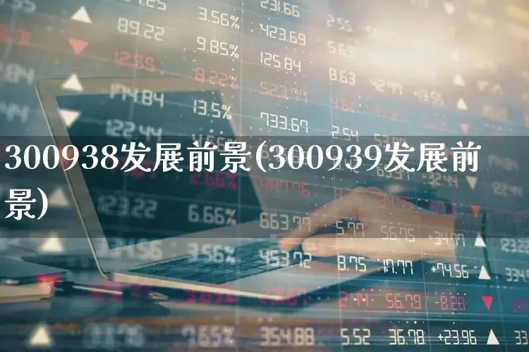 300938发展前景(300939发展前景)_https://www.fzdzcxj.com_科创板_第1张