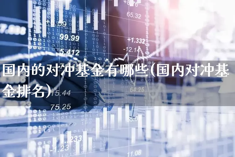 国内的对冲基金有哪些(国内对冲基金排名)_https://www.fzdzcxj.com_创业板_第1张