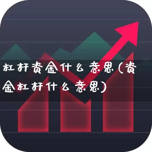 杠杆资金什么意思(资金杠杆什么意思)_https://www.fzdzcxj.com_上交所_第1张