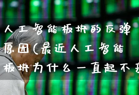人工智能板块的反弹原因(最近人工智能板块为什么一直起不来)_https://www.fzdzcxj.com_北交所_第1张