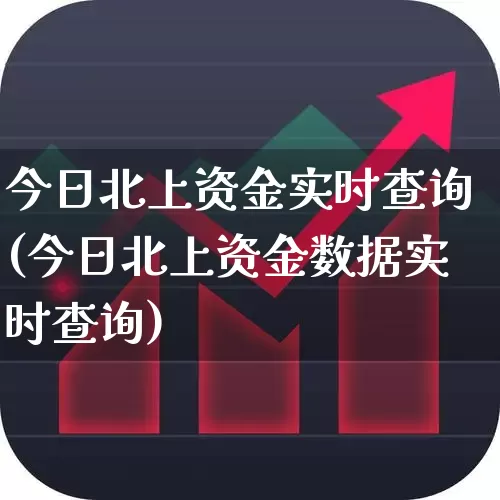 今日北上资金实时查询(今日北上资金数据实时查询)_https://www.fzdzcxj.com_上交所_第1张