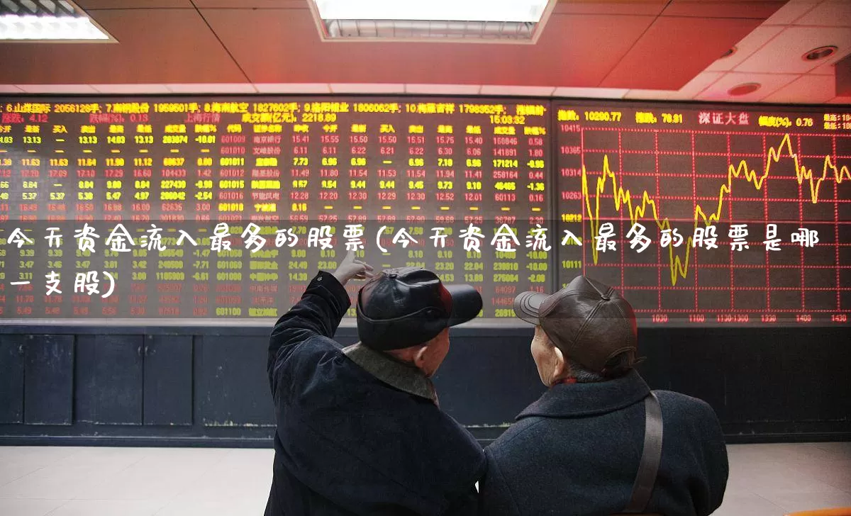 今天资金流入最多的股票(今天资金流入最多的股票是哪一支股)_https://www.fzdzcxj.com_创业板_第1张