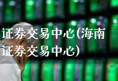 证券交易中心(海南证券交易中心)_https://www.fzdzcxj.com_深交所_第1张