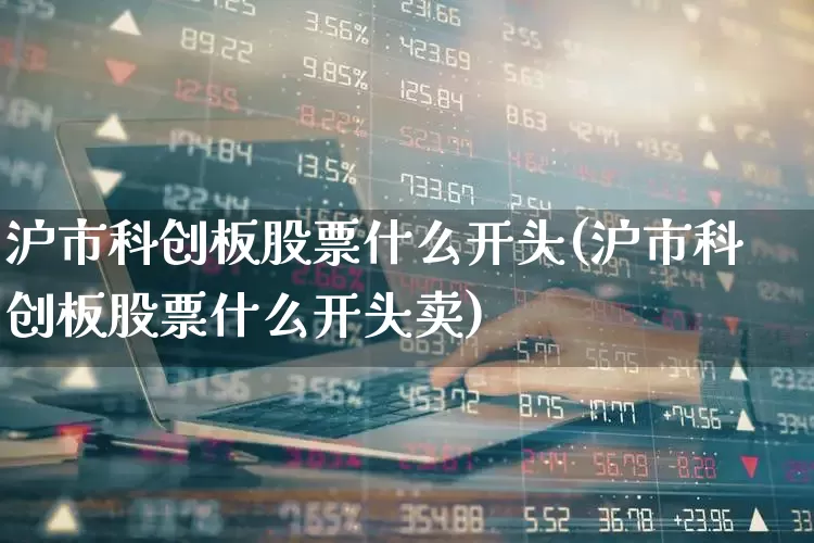 沪市科创板股票什么开头(沪市科创板股票什么开头卖)_https://www.fzdzcxj.com_北交所_第1张