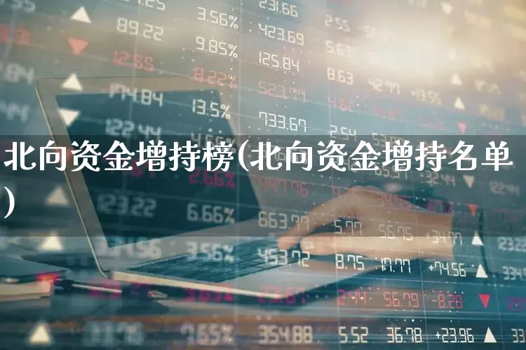 北向资金增持榜(北向资金增持名单)_https://www.fzdzcxj.com_创业板_第1张