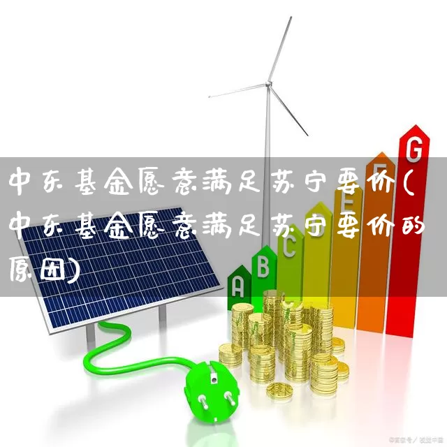 中东基金愿意满足苏宁要价(中东基金愿意满足苏宁要价的原因)_https://www.fzdzcxj.com_北交所_第1张