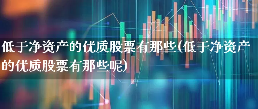 低于净资产的优质股票有那些(低于净资产的优质股票有那些呢)_https://www.fzdzcxj.com_上交所_第1张