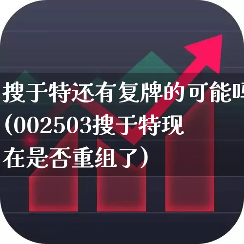 搜于特还有复牌的可能吗(002503搜于特现在是否重组了)_https://www.fzdzcxj.com_深交所_第1张