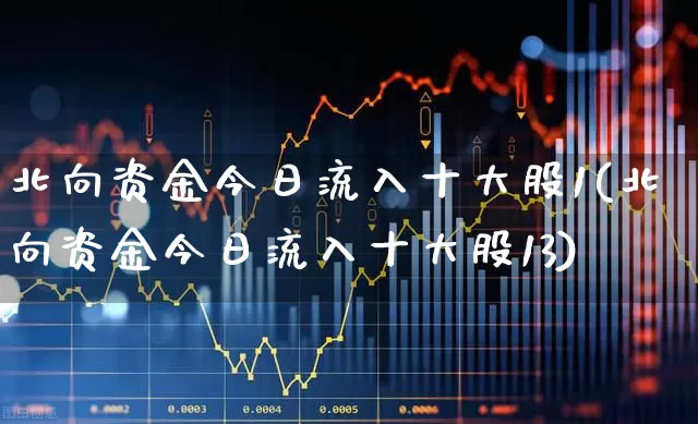 北向资金今日流入十大股1(北向资金今日流入十大股13)_https://www.fzdzcxj.com_北交所_第1张