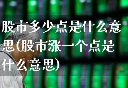 股市多少点是什么意思(股市涨一个点是什么意思)_https://www.fzdzcxj.com_科创板_第1张