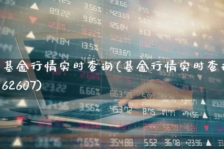 基金行情实时查询(基金行情实时查询162607)_https://www.fzdzcxj.com_北交所_第1张