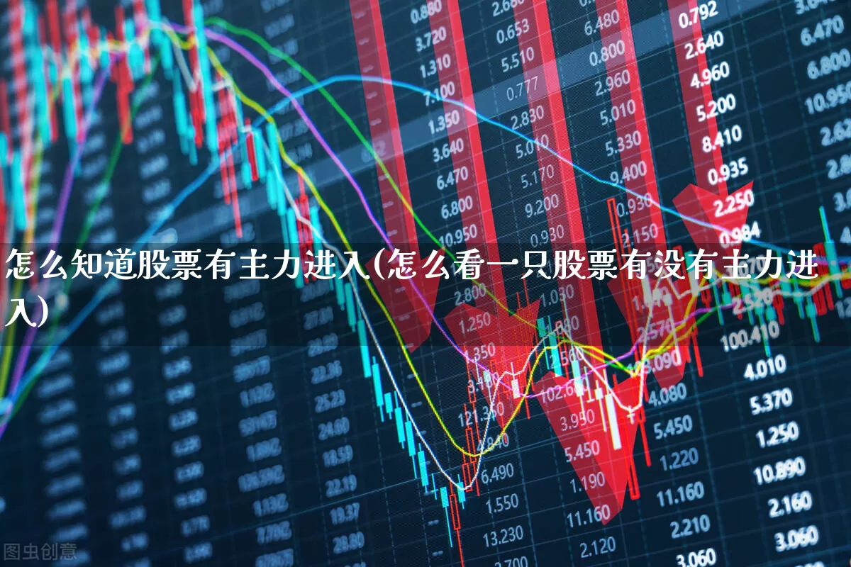 怎么知道股票有主力进入(怎么看一只股票有没有主力进入)_https://www.fzdzcxj.com_科创板_第1张