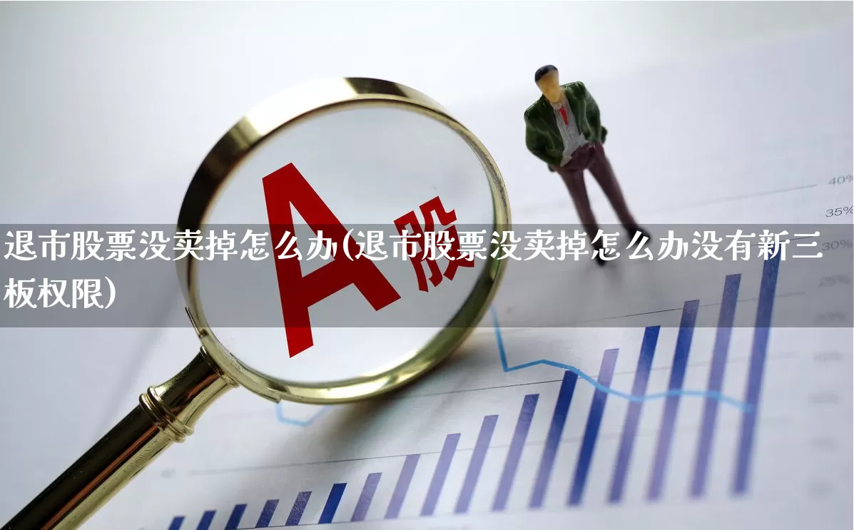 退市股票没卖掉怎么办(退市股票没卖掉怎么办没有新三板权限)_https://www.fzdzcxj.com_北交所_第1张