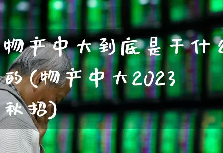 物产中大到底是干什么的(物产中大2023秋招)_https://www.fzdzcxj.com_创业板_第1张