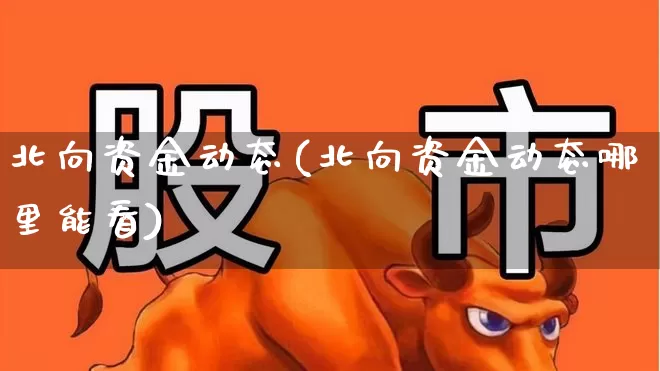北向资金动态(北向资金动态哪里能看)_https://www.fzdzcxj.com_上交所_第1张