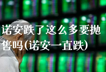 诺安跌了这么多要抛售吗(诺安一直跌)_https://www.fzdzcxj.com_深交所_第1张