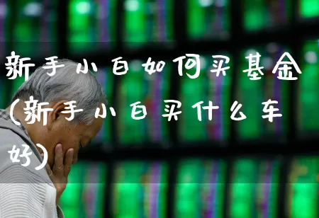 新手小白如何买基金(新手小白买什么车好)_https://www.fzdzcxj.com_上交所_第1张