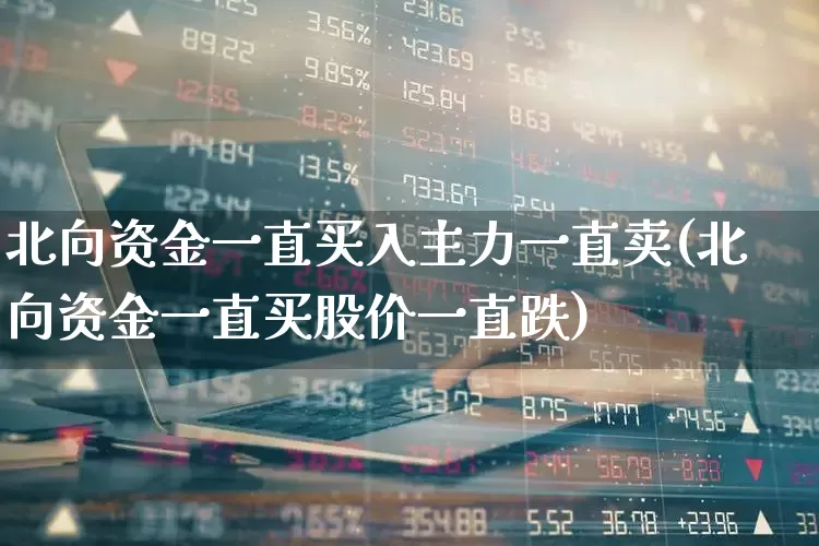 北向资金一直买入主力一直卖(北向资金一直买股价一直跌)_https://www.fzdzcxj.com_科创板_第1张