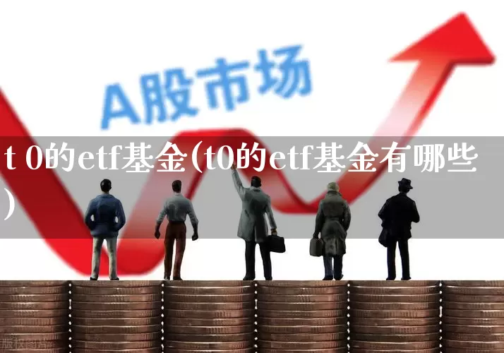 t 0的etf基金(t0的etf基金有哪些)_https://www.fzdzcxj.com_科创板_第1张