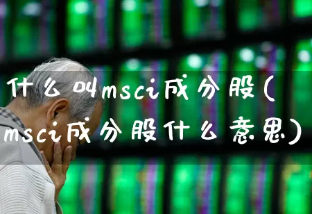 什么叫msci成分股(msci成分股什么意思)_https://www.fzdzcxj.com_北交所_第1张