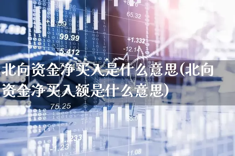 北向资金净买入是什么意思(北向资金净买入额是什么意思)_https://www.fzdzcxj.com_科创板_第1张
