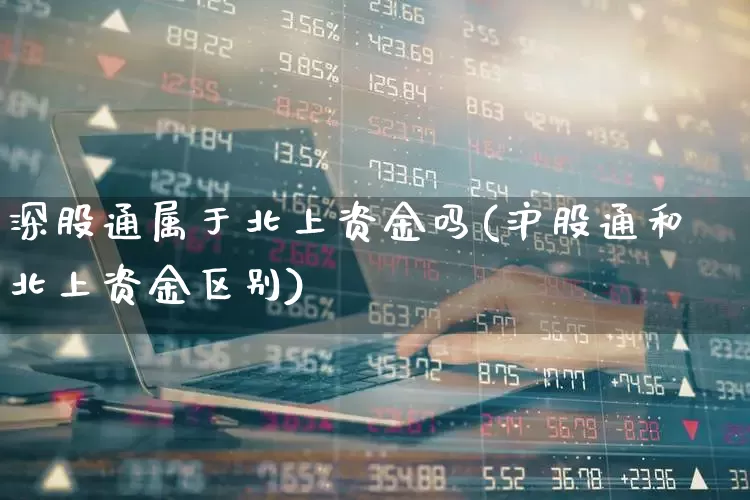 深股通属于北上资金吗(沪股通和北上资金区别)_https://www.fzdzcxj.com_深交所_第1张