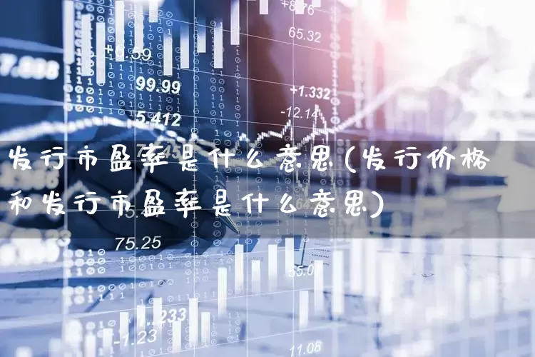 发行市盈率是什么意思(发行价格和发行市盈率是什么意思)_https://www.fzdzcxj.com_创业板_第1张