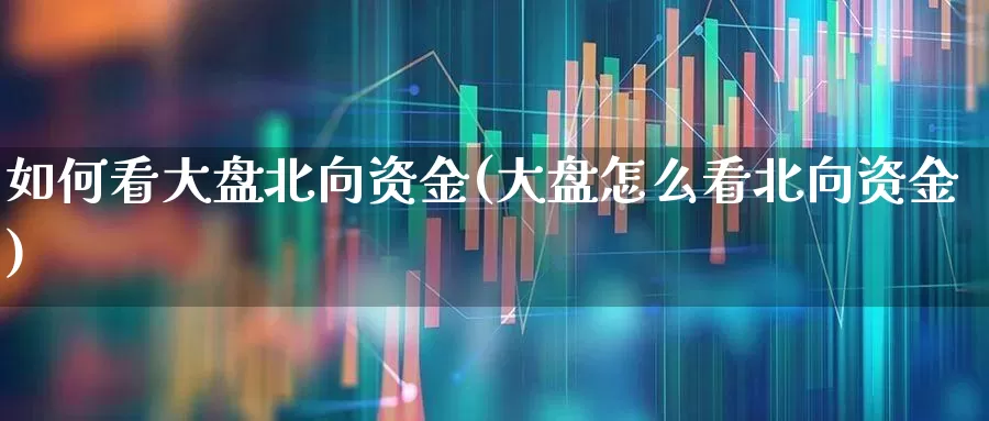 如何看大盘北向资金(大盘怎么看北向资金)_https://www.fzdzcxj.com_上交所_第1张