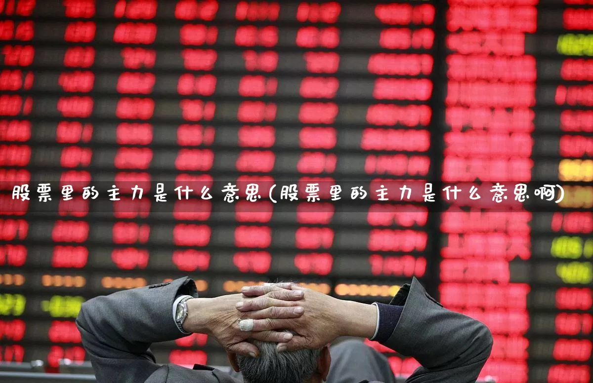 股票里的主力是什么意思(股票里的主力是什么意思啊)_https://www.fzdzcxj.com_科创板_第1张