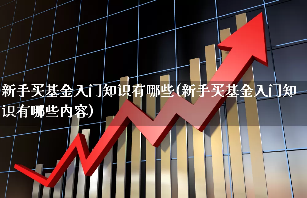 新手买基金入门知识有哪些(新手买基金入门知识有哪些内容)_https://www.fzdzcxj.com_创业板_第1张