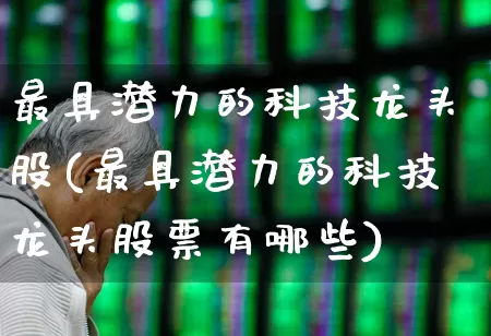 最具潜力的科技龙头股(最具潜力的科技龙头股票有哪些)_https://www.fzdzcxj.com_北交所_第1张
