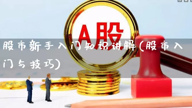 股市新手入门知识讲解(股市入门与技巧)_https://www.fzdzcxj.com_创业板_第1张