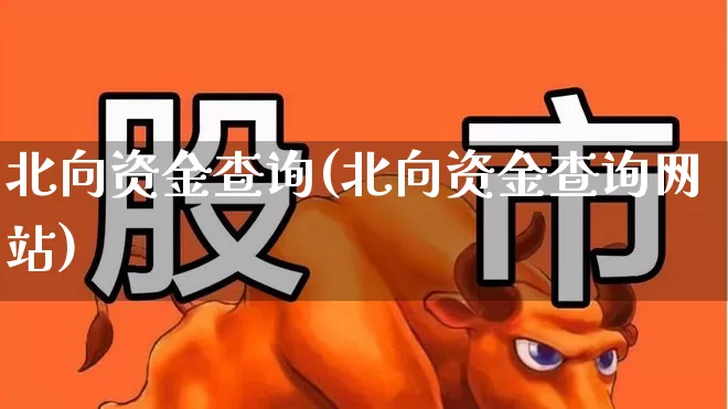 北向资金查询(北向资金查询网站)_https://www.fzdzcxj.com_深交所_第1张