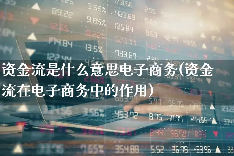 资金流是什么意思电子商务(资金流在电子商务中的作用)_https://www.fzdzcxj.com_深交所_第1张
