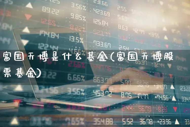 富国天博是什么基金(富国天博股票基金)_https://www.fzdzcxj.com_深交所_第1张