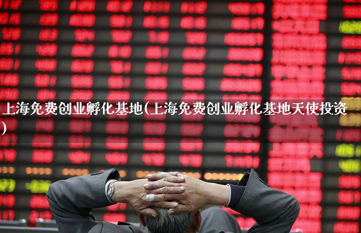 上海免费创业孵化基地(上海免费创业孵化基地天使投资)_https://www.fzdzcxj.com_科创板_第1张