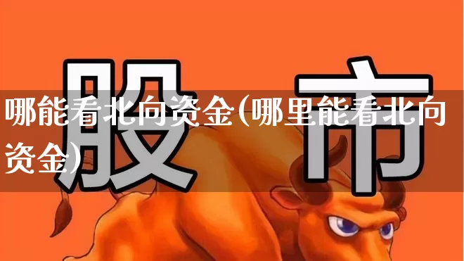 哪能看北向资金(哪里能看北向资金)_https://www.fzdzcxj.com_科创板_第1张