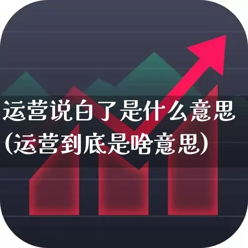 运营说白了是什么意思(运营到底是啥意思)_https://www.fzdzcxj.com_创业板_第1张