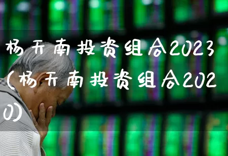 杨天南投资组合2023(杨天南投资组合2020)_https://www.fzdzcxj.com_北交所_第1张