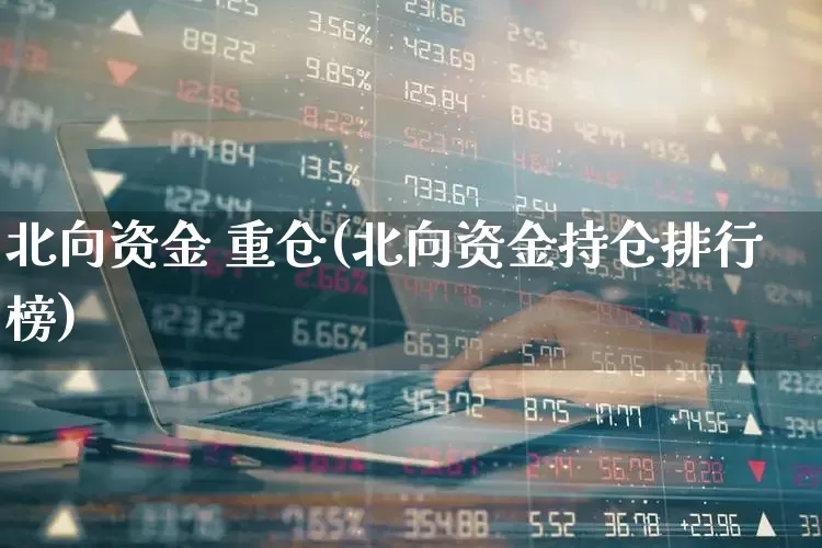 北向资金 重仓(北向资金持仓排行榜)_https://www.fzdzcxj.com_科创板_第1张