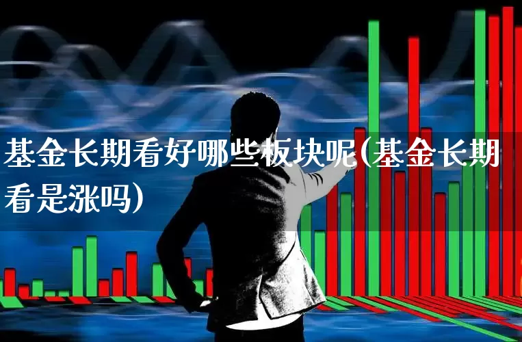 基金长期看好哪些板块呢(基金长期看是涨吗)_https://www.fzdzcxj.com_科创板_第1张