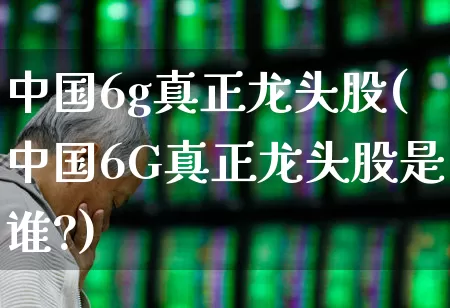 中国6g真正龙头股(中国6G真正龙头股是谁?)_https://www.fzdzcxj.com_上交所_第1张