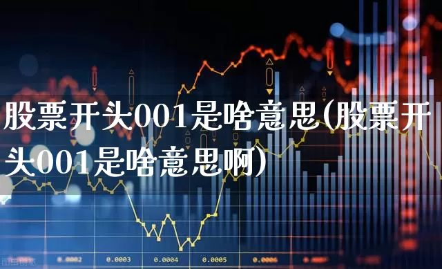 股票开头001是啥意思(股票开头001是啥意思啊)_https://www.fzdzcxj.com_上交所_第1张