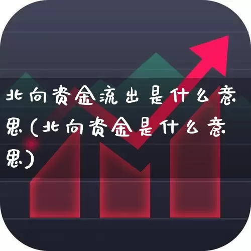 北向资金流出是什么意思(北向资金是什么意思)_https://www.fzdzcxj.com_北交所_第1张