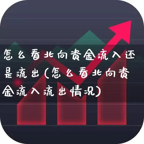 怎么看北向资金流入还是流出(怎么看北向资金流入流出情况)_https://www.fzdzcxj.com_上交所_第1张