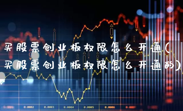 买股票创业板权限怎么开通(买股票创业板权限怎么开通的)_https://www.fzdzcxj.com_上交所_第1张