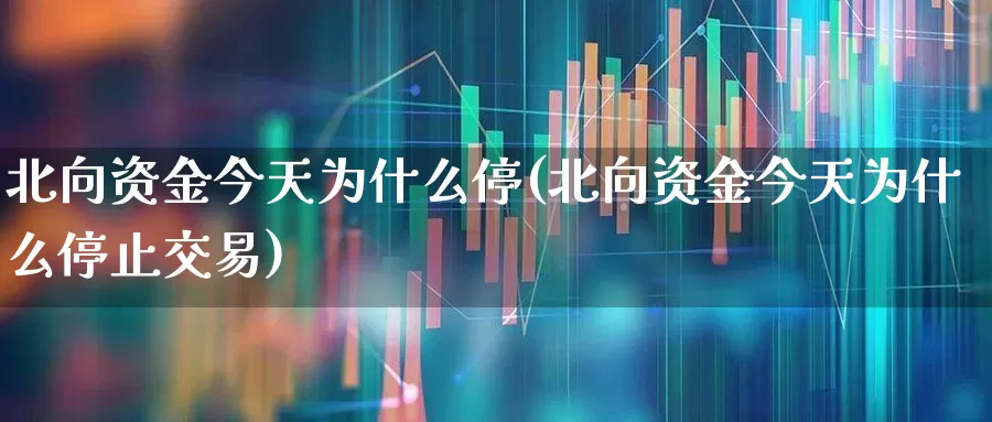北向资金今天为什么停(北向资金今天为什么停止交易)_https://www.fzdzcxj.com_深交所_第1张